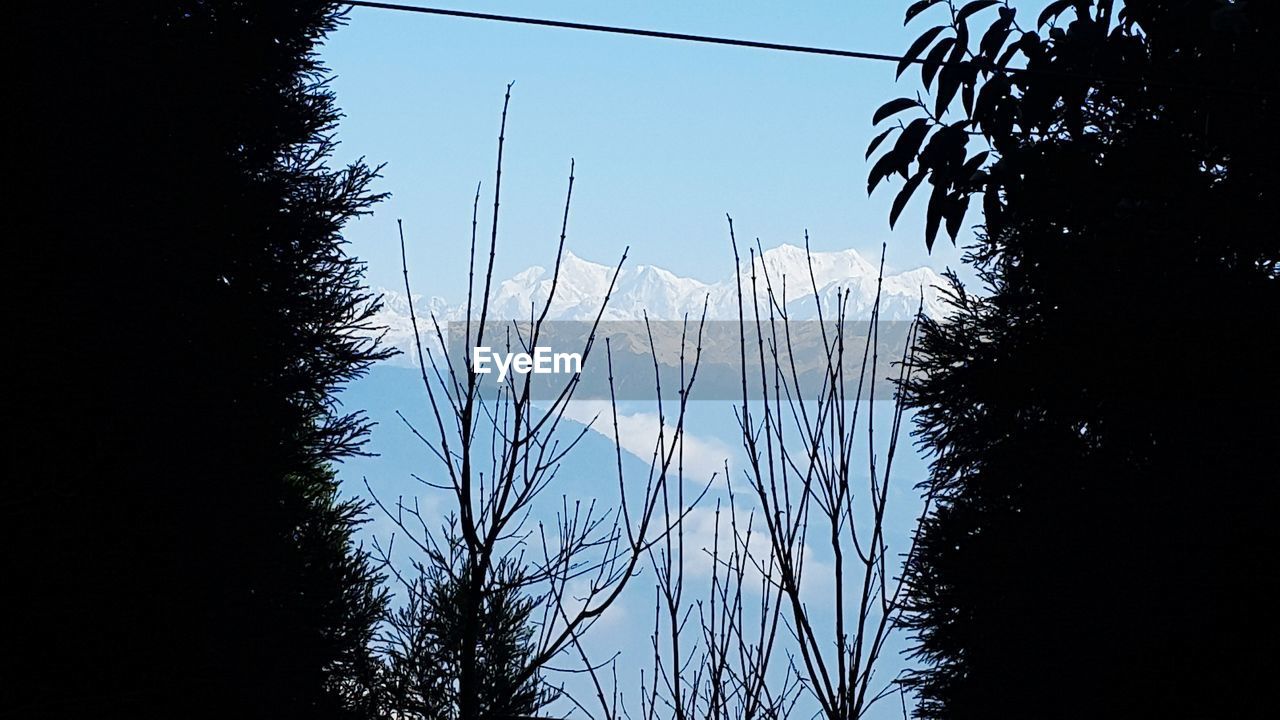 LOW ANGLE VIEW OF SILHOUETTE TREES AGAINST SKY