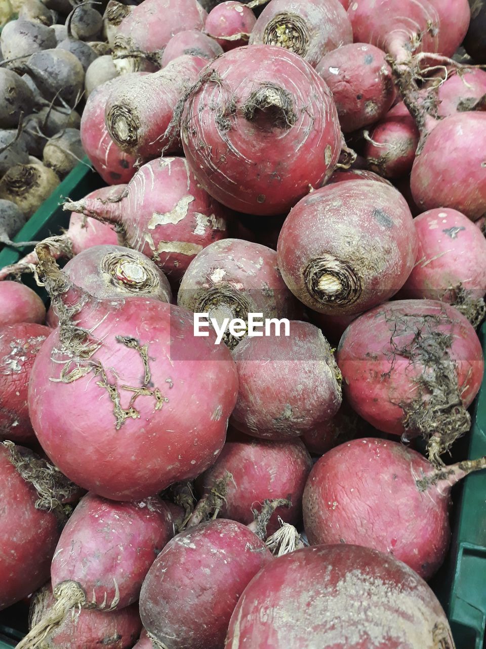 FULL FRAME SHOT OF FRUITS