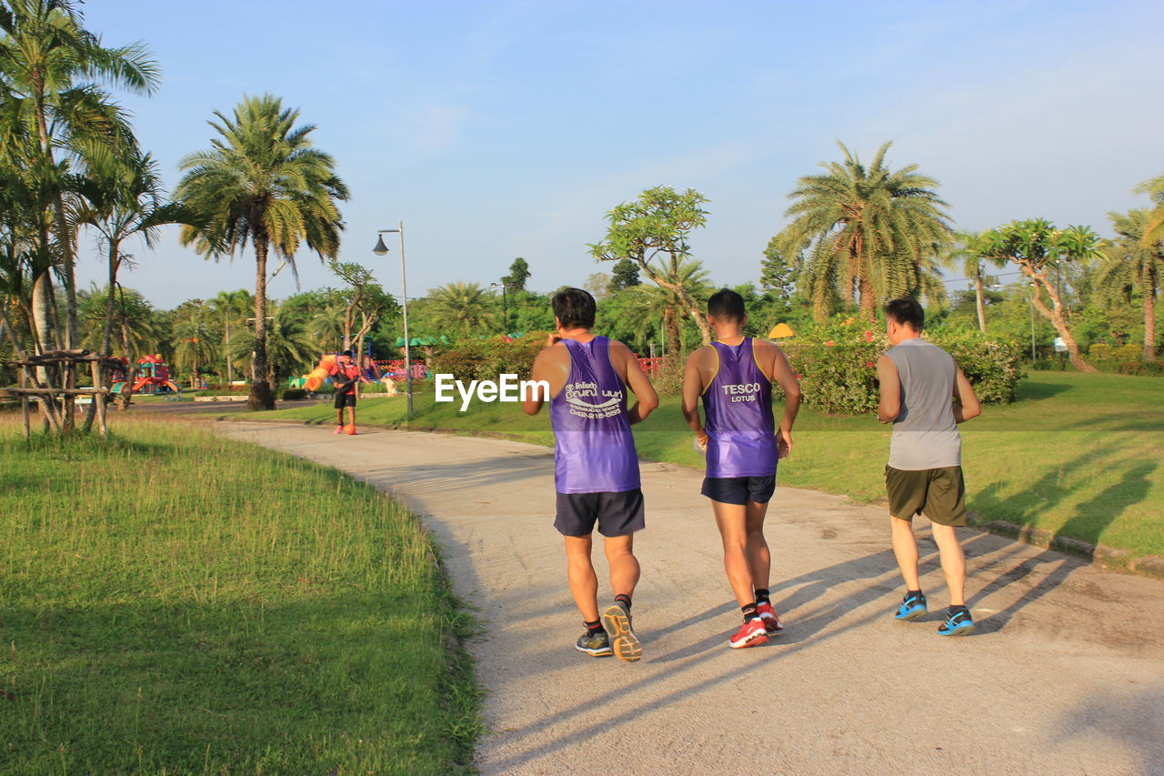 REAR VIEW OF FRIENDS STANDING ON PALM TREES