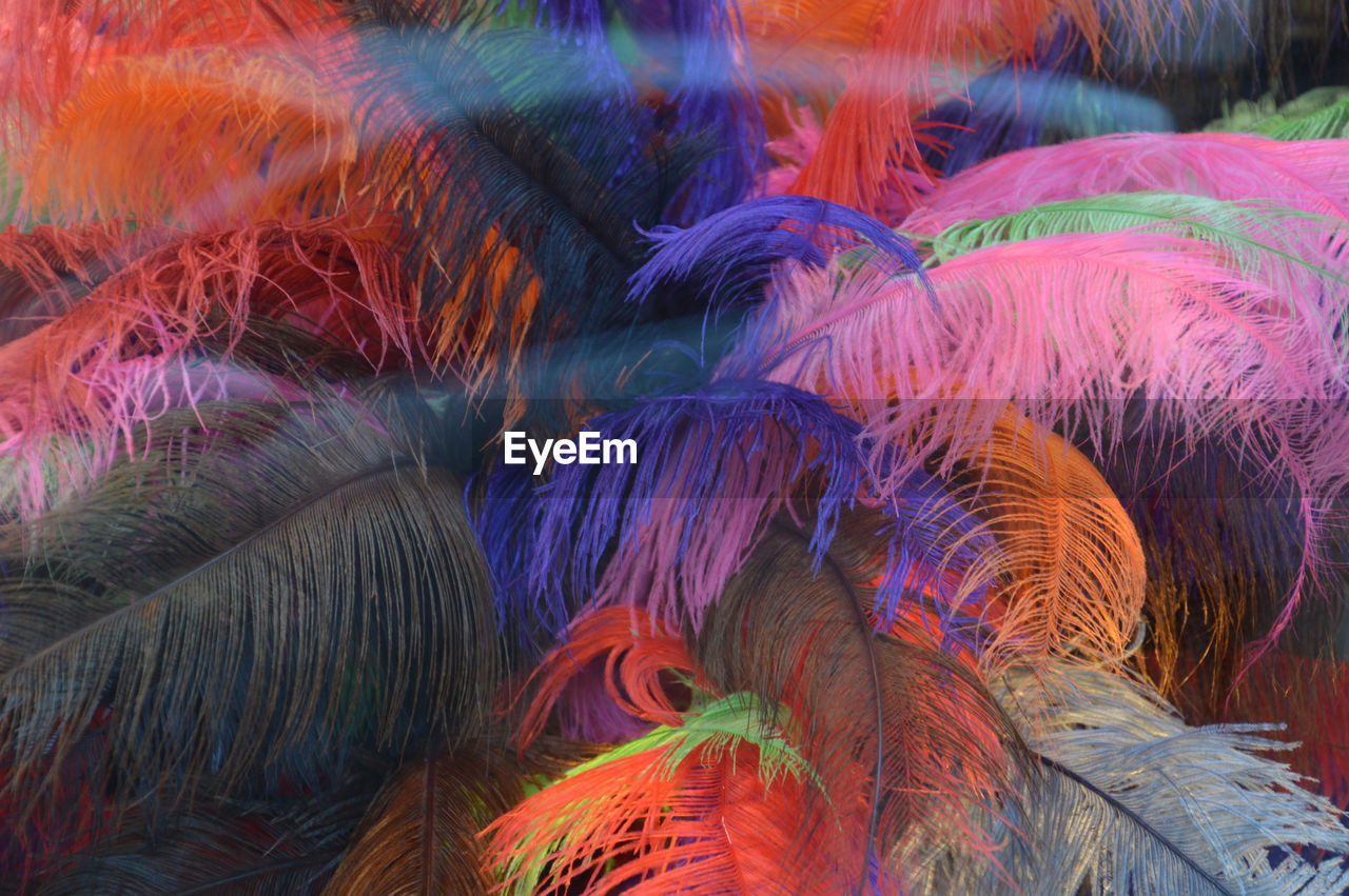 A bunch of multi colored feathers in red, pink, blue, green and purple