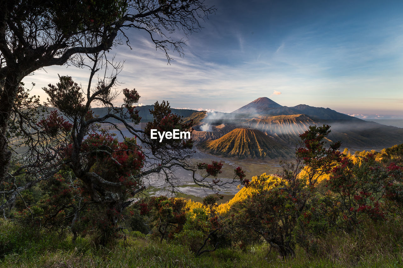 View of trees by volcanic crater against cloudy sky