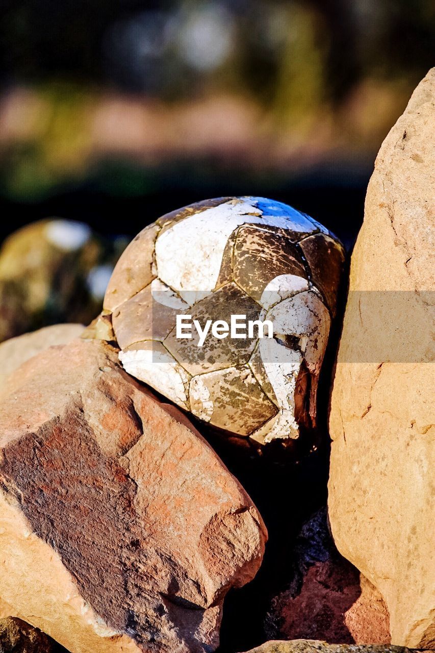 CLOSE-UP OF ROCKS ON ROCKS