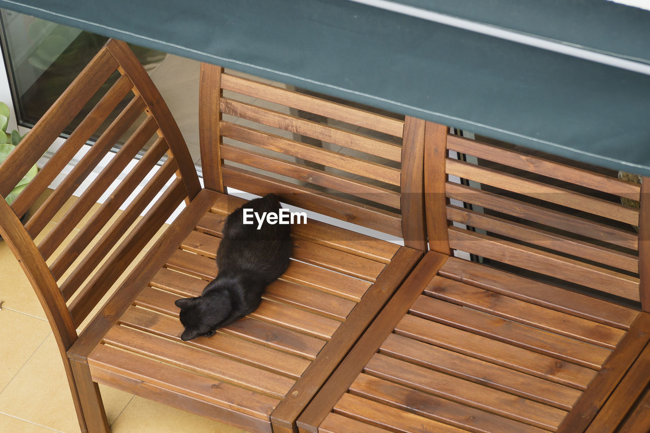 High angle view of black cat on chair