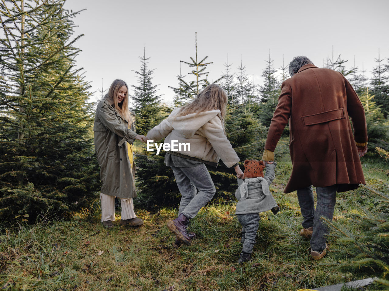 Playful family holding hands and walking in christmas tree farm
