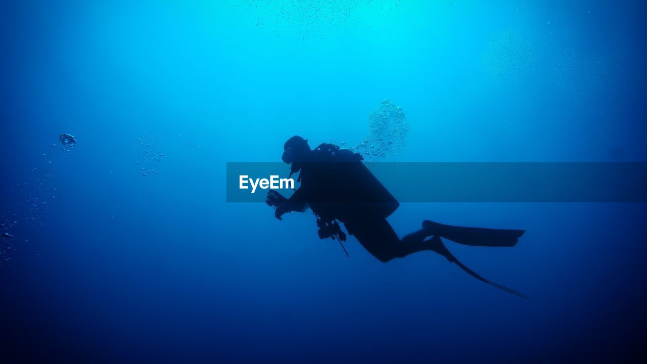 Scuba diver swimming in sea