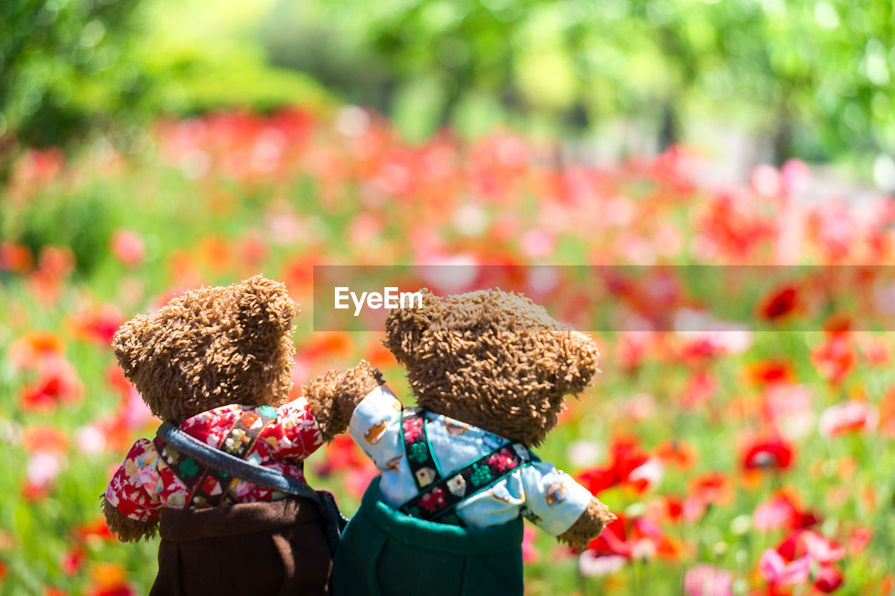 Close-up of stuffed toys