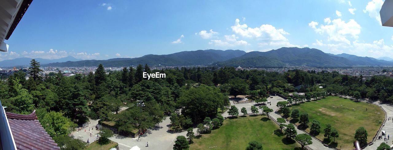 High angle shot of trees on landscape