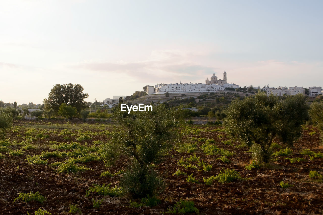 VIEW OF BUILT STRUCTURE ON LANDSCAPE