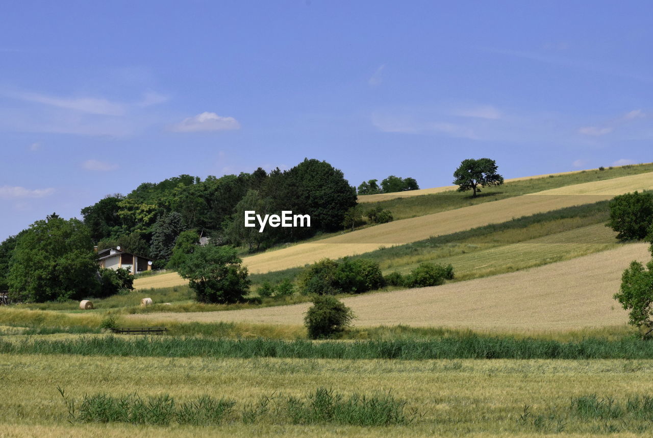 SCENIC VIEW OF LAND AGAINST SKY