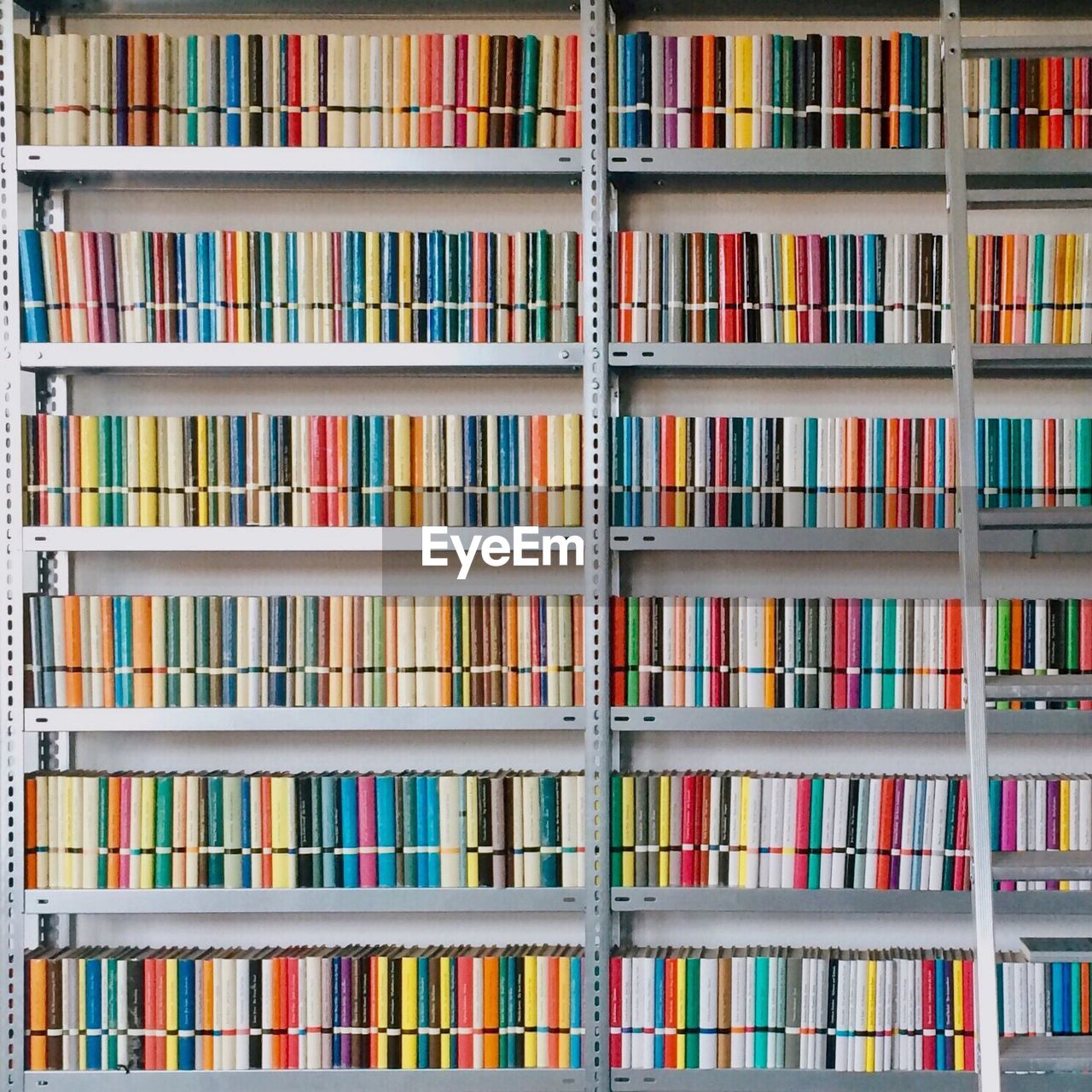 Full frame image of books arranged on shelves