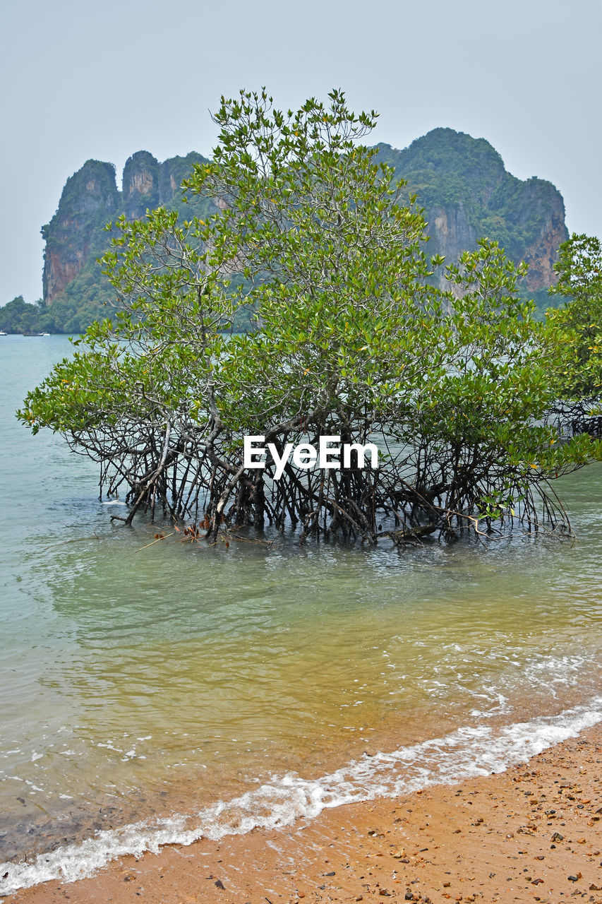 Scenic view of sea and mountains