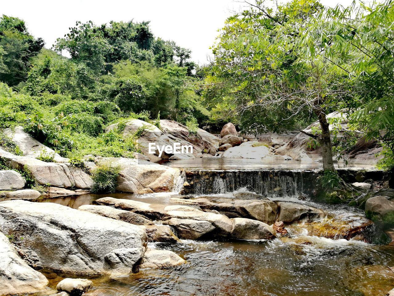 SCENIC VIEW OF WATERFALL