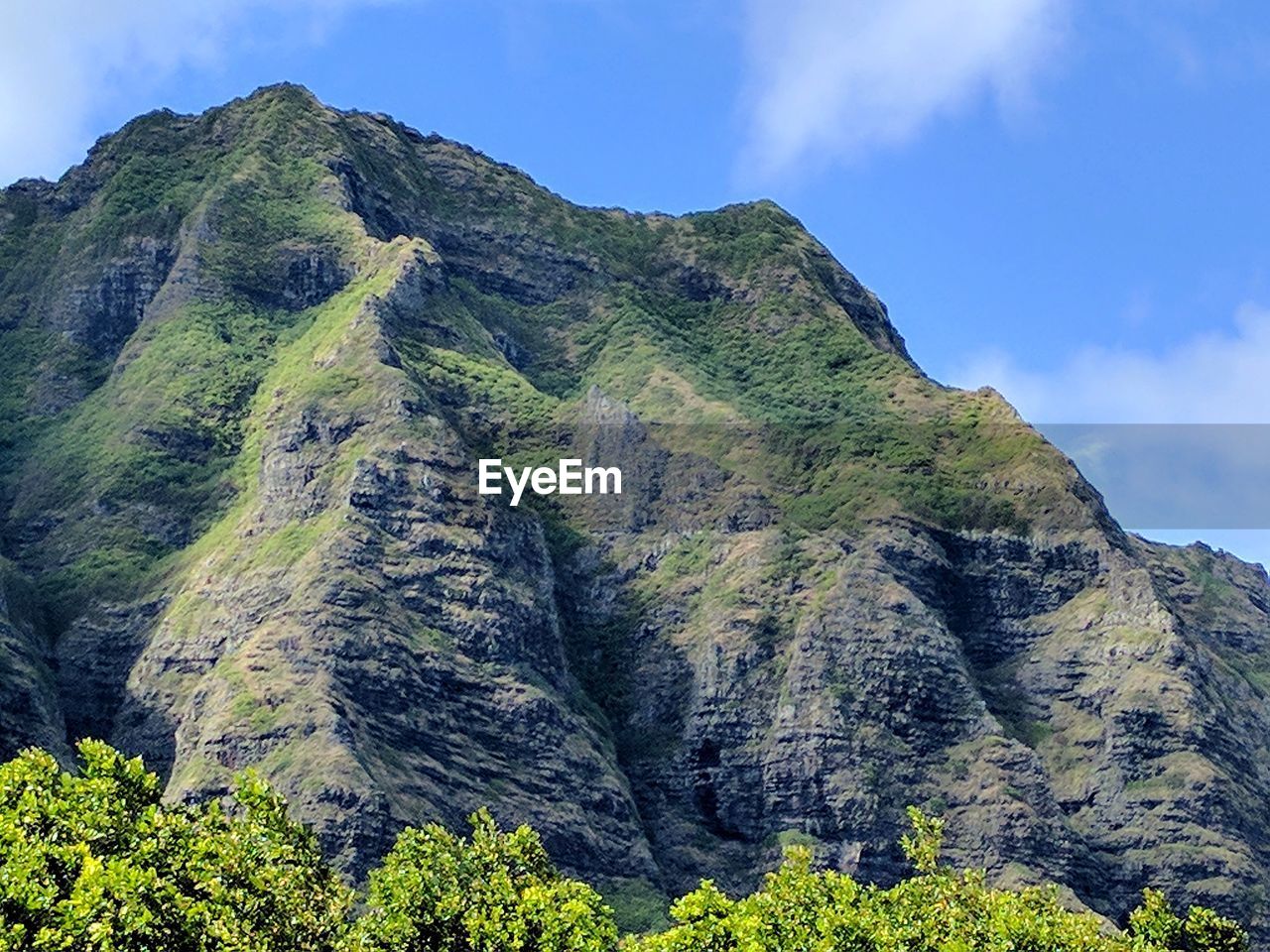 LOW ANGLE VIEW OF GREEN MOUNTAIN AGAINST BLUE SKY