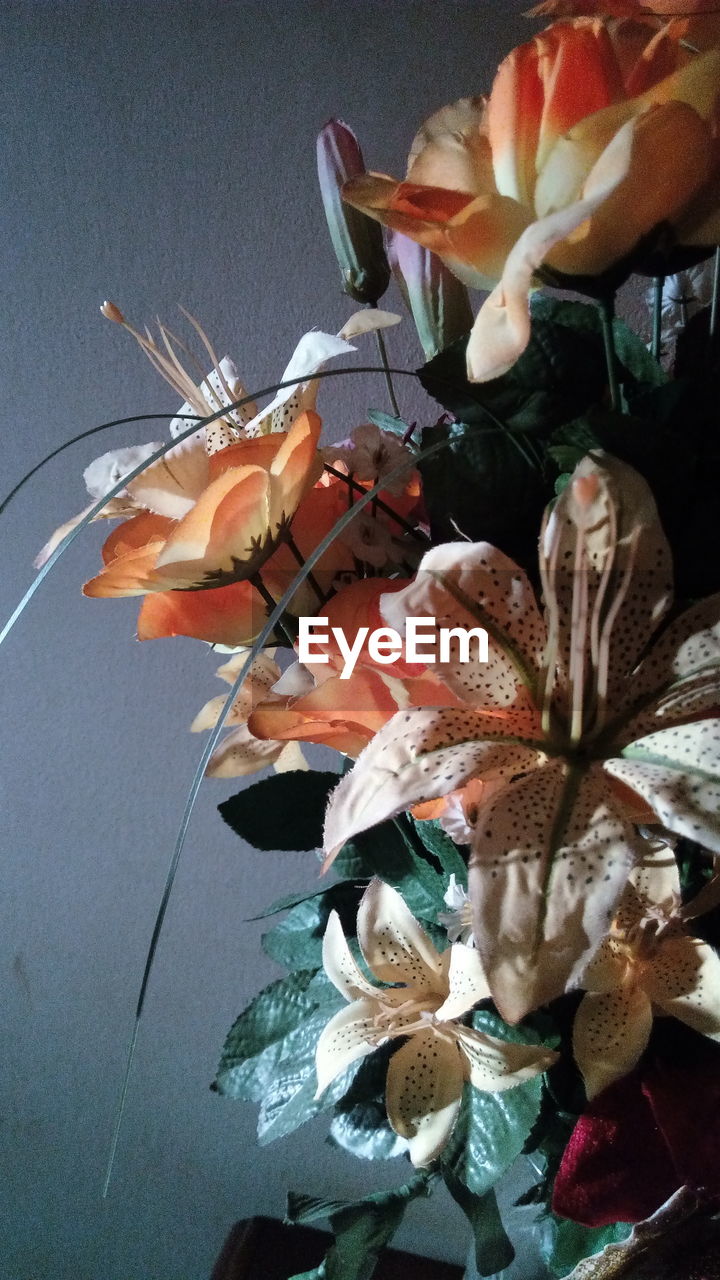 CLOSE-UP OF ORANGE FLOWERS ON PLATE