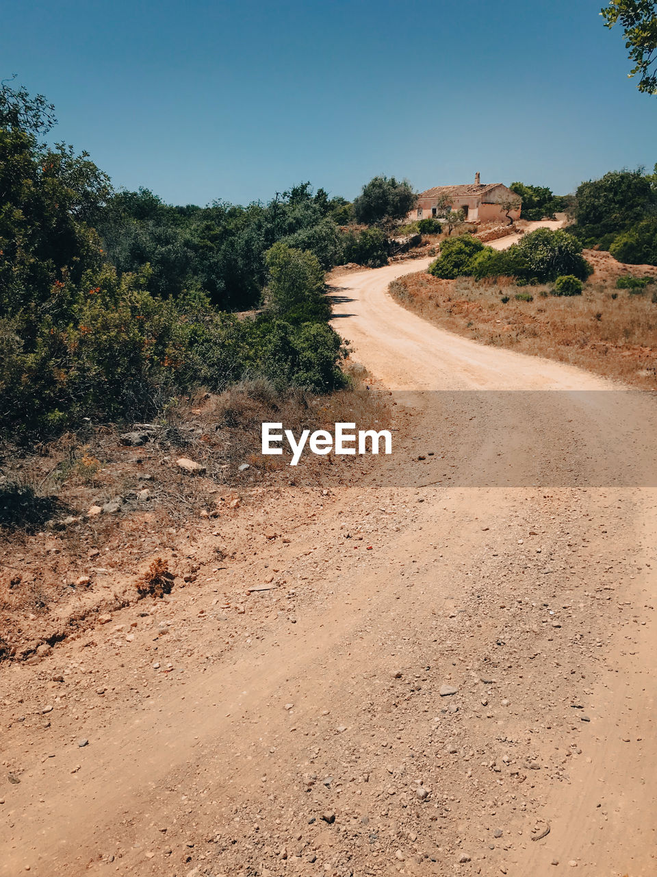 soil, natural environment, land, landscape, environment, sky, nature, tree, plant, road, scenics - nature, dirt, sand, dirt road, no people, clear sky, desert, travel, beauty in nature, tranquility, outdoors, blue, non-urban scene, travel destinations, transportation, wadi, sunny, semi-arid, day, the way forward, sunlight, tranquil scene, tourism, rural area, hill