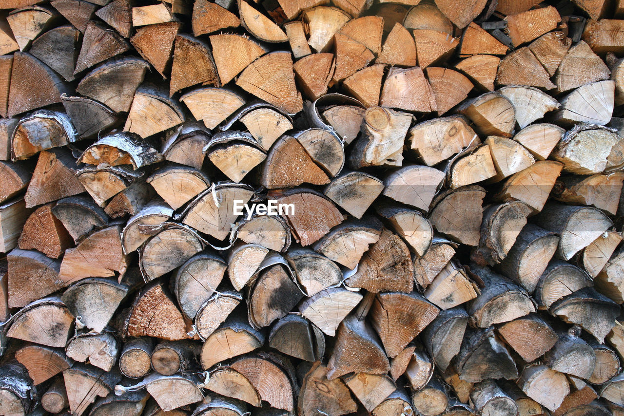 STACK OF LOGS IN FOREST