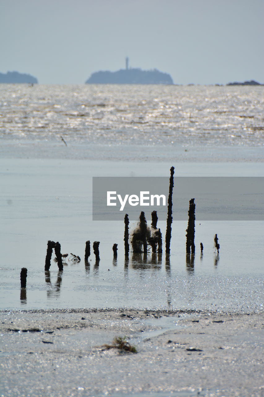 Wooden post at beach