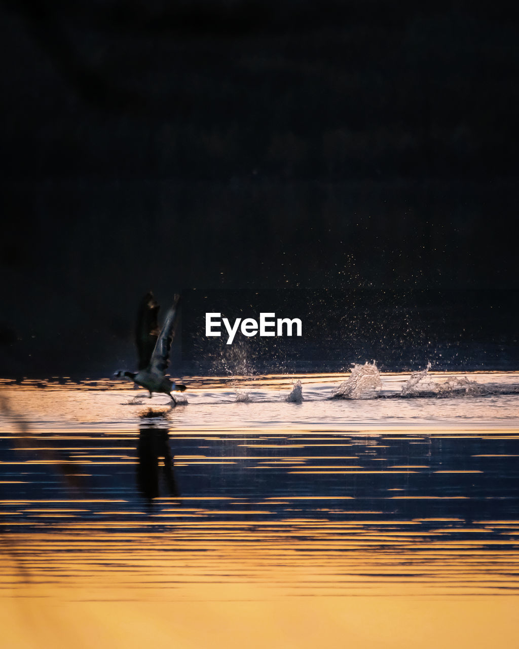 Man surfing on sea against sky at night