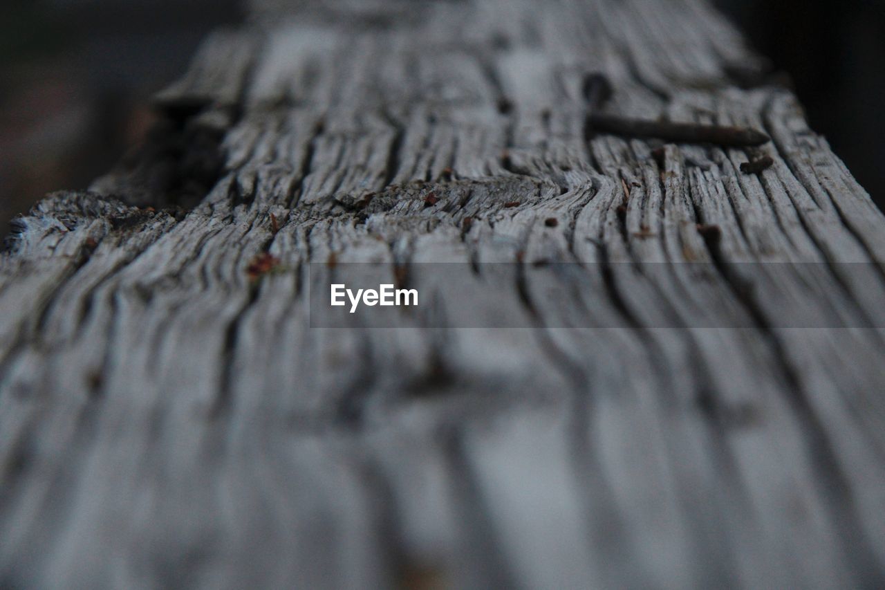 Close-up of damaged wood