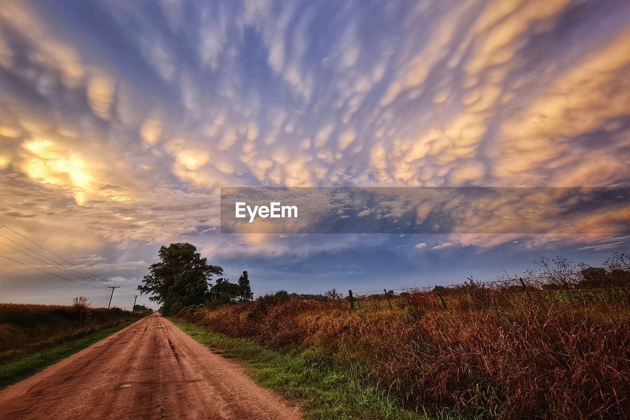 SCENIC VIEW OF ROAD AMIDST FIELD AGAINST SKY