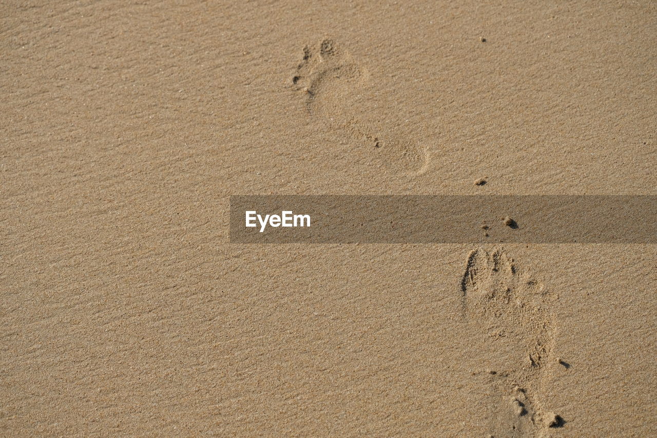 HIGH ANGLE VIEW OF FOOTPRINTS ON SANDY BEACH