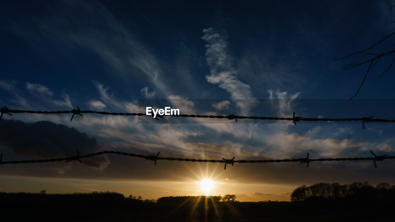 LOW ANGLE VIEW OF SILHOUETTE TREES AGAINST SKY