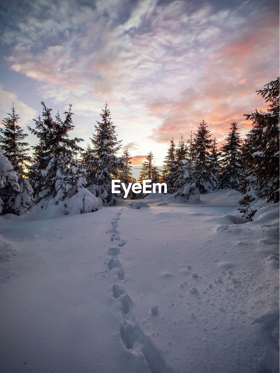 snow covered landscape against sky