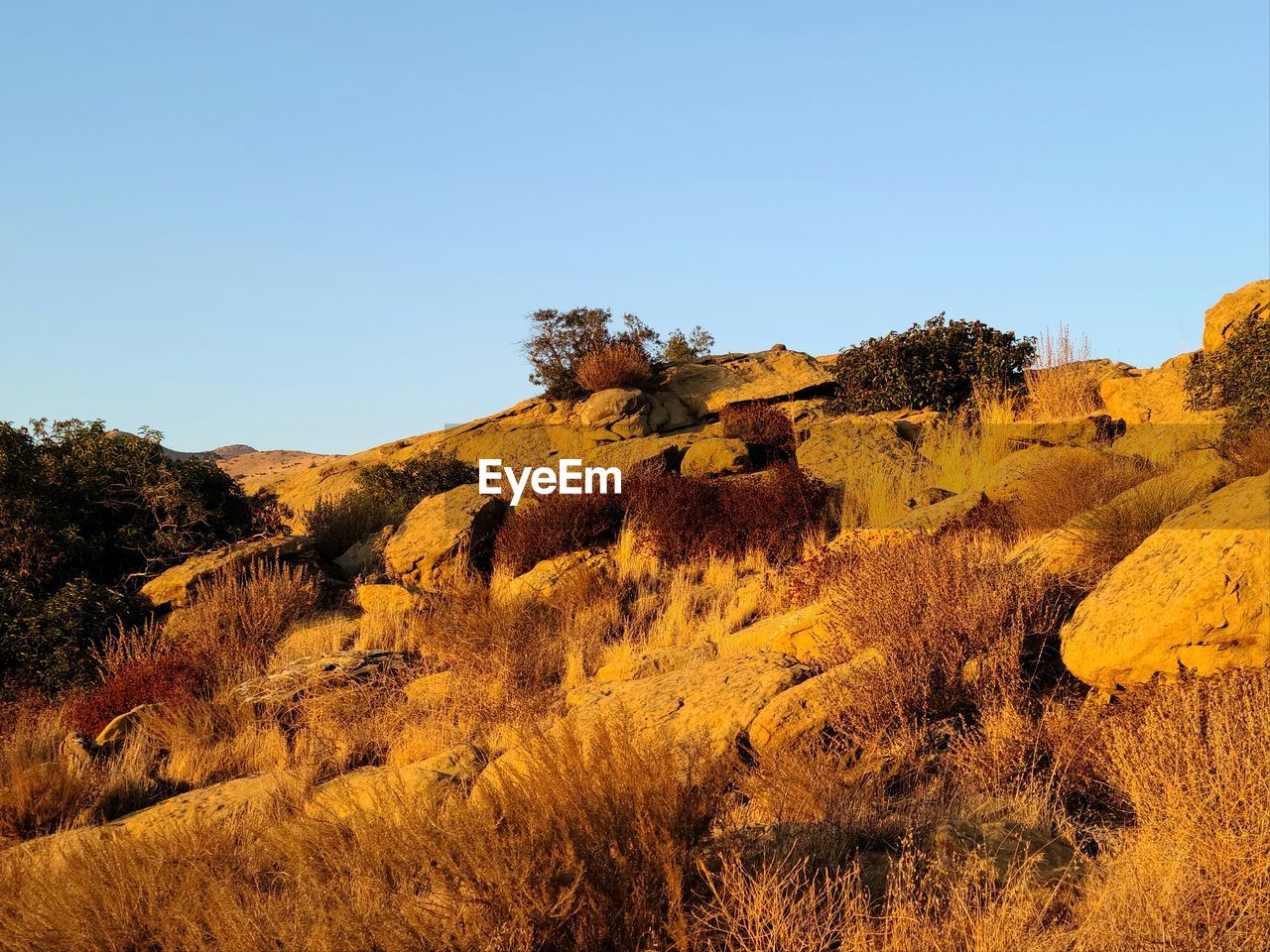 Scenic view of land against clear sky