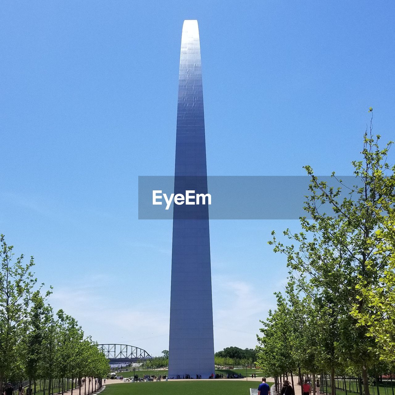 LOW ANGLE VIEW OF TREES AND BUILDINGS AGAINST SKY