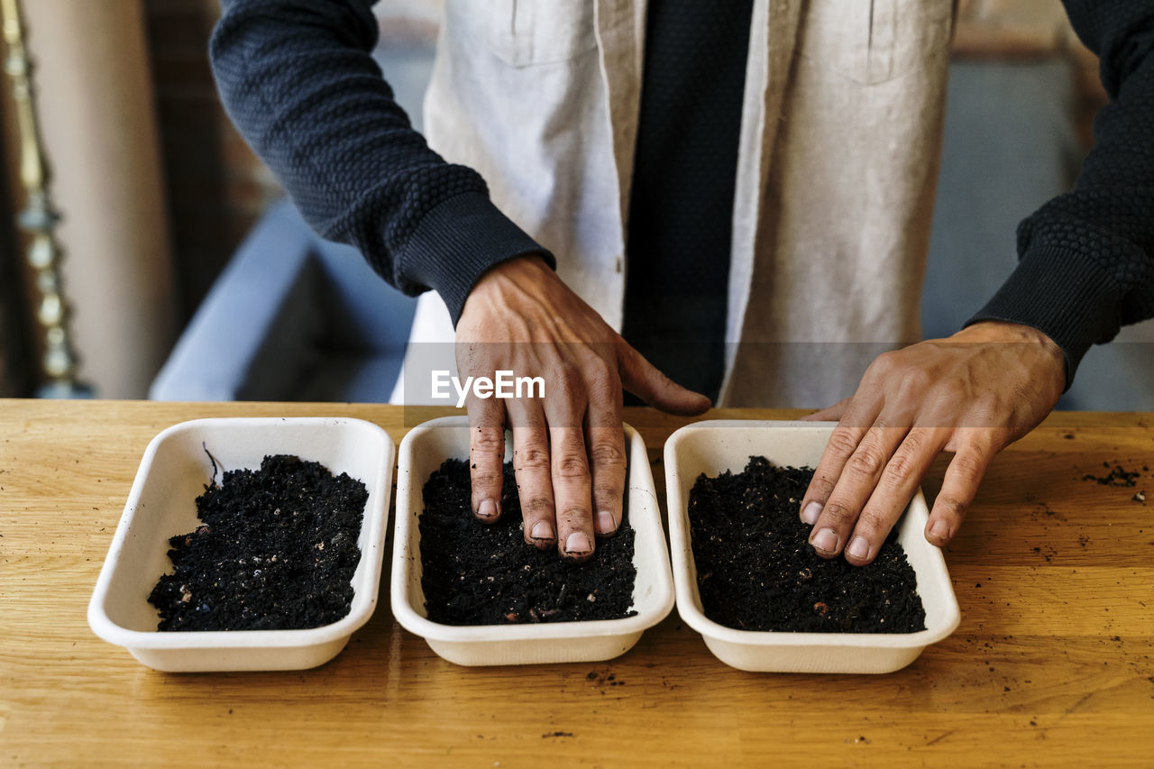 Man arranging microgreen plants in trays