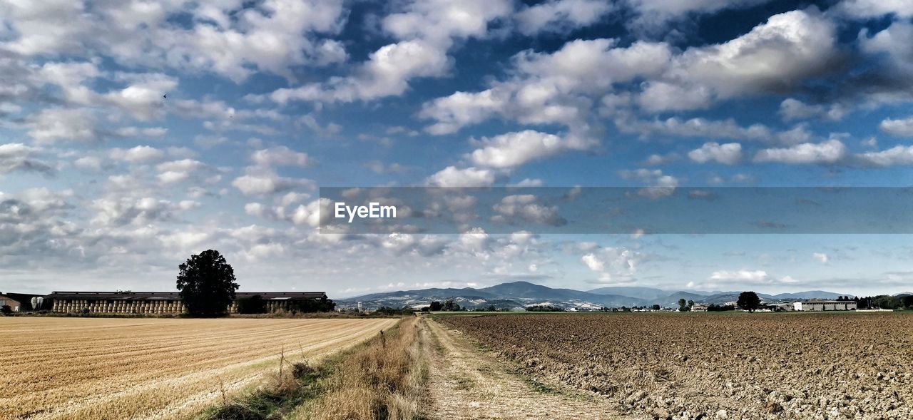 PANORAMIC VIEW OF AGRICULTURAL LANDSCAPE AGAINST SKY