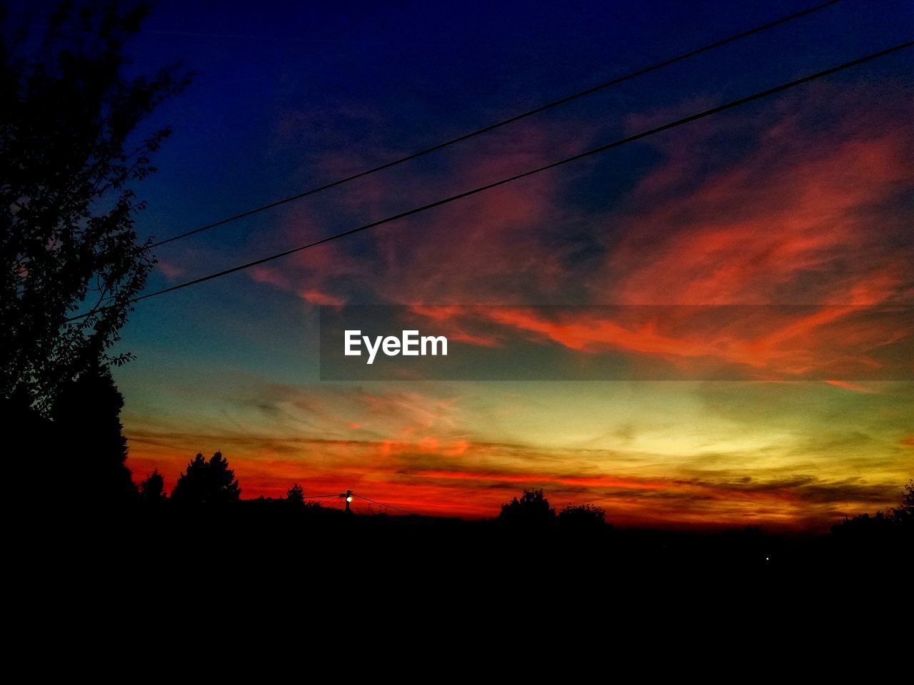 SILHOUETTE OF TREES AGAINST SKY AT SUNSET