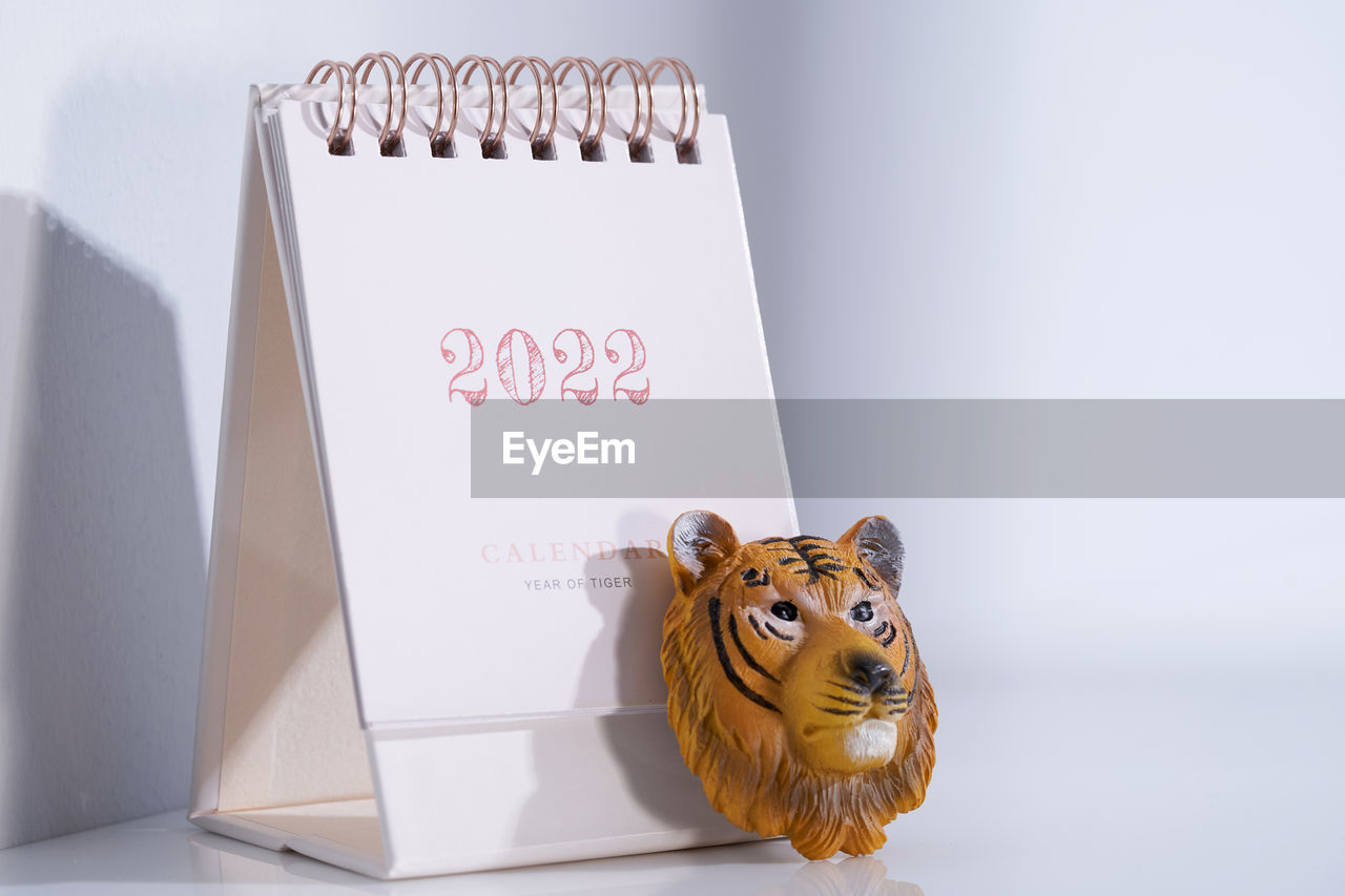 Decorative tiger lean on 2022 desk calendar
