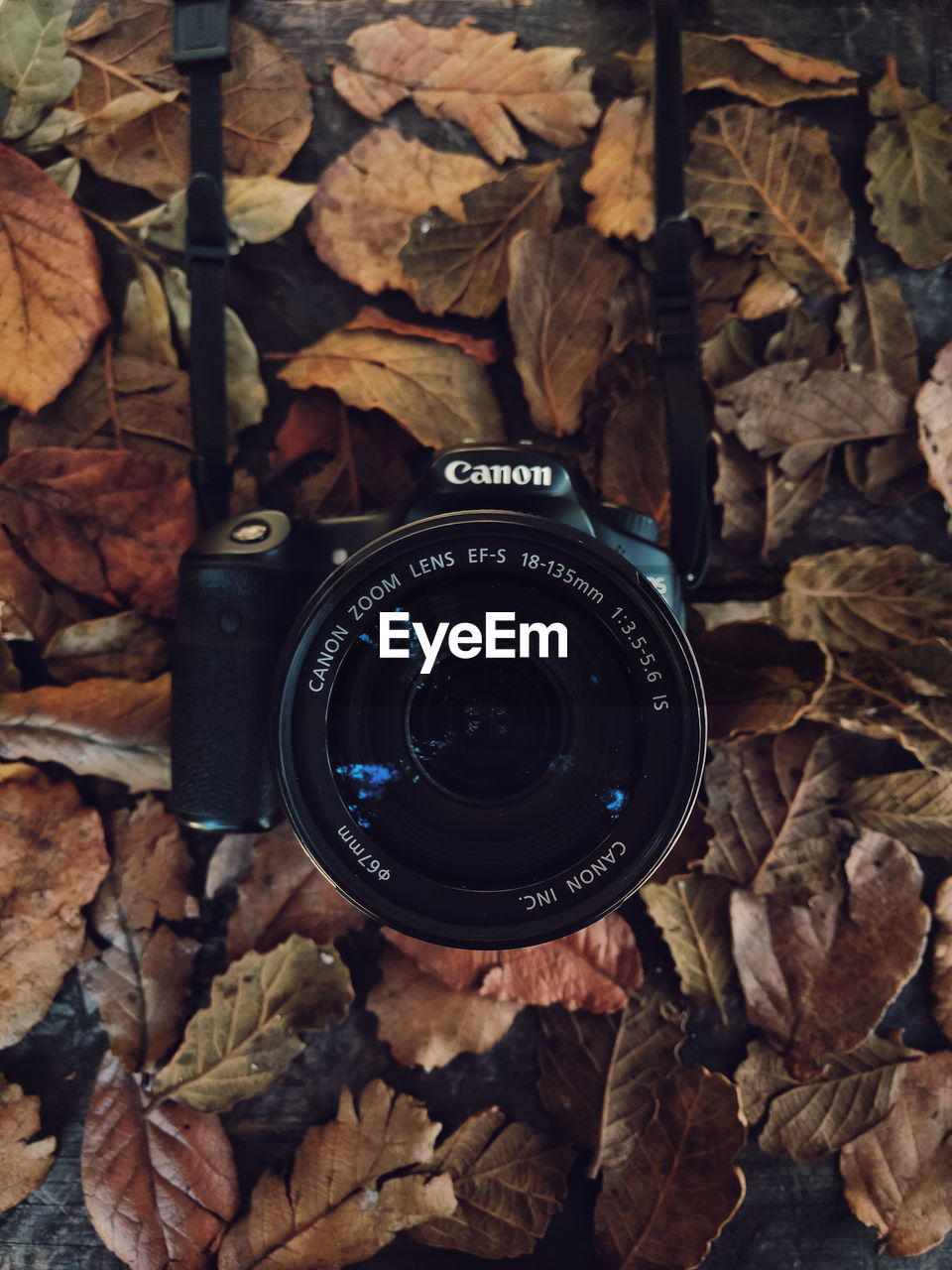 CLOSE-UP OF CAMERA WITH REFLECTION OF AUTUMN LEAVES