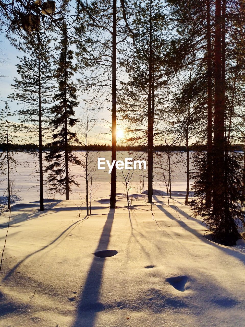 SCENIC VIEW OF SNOW COVERED LANDSCAPE