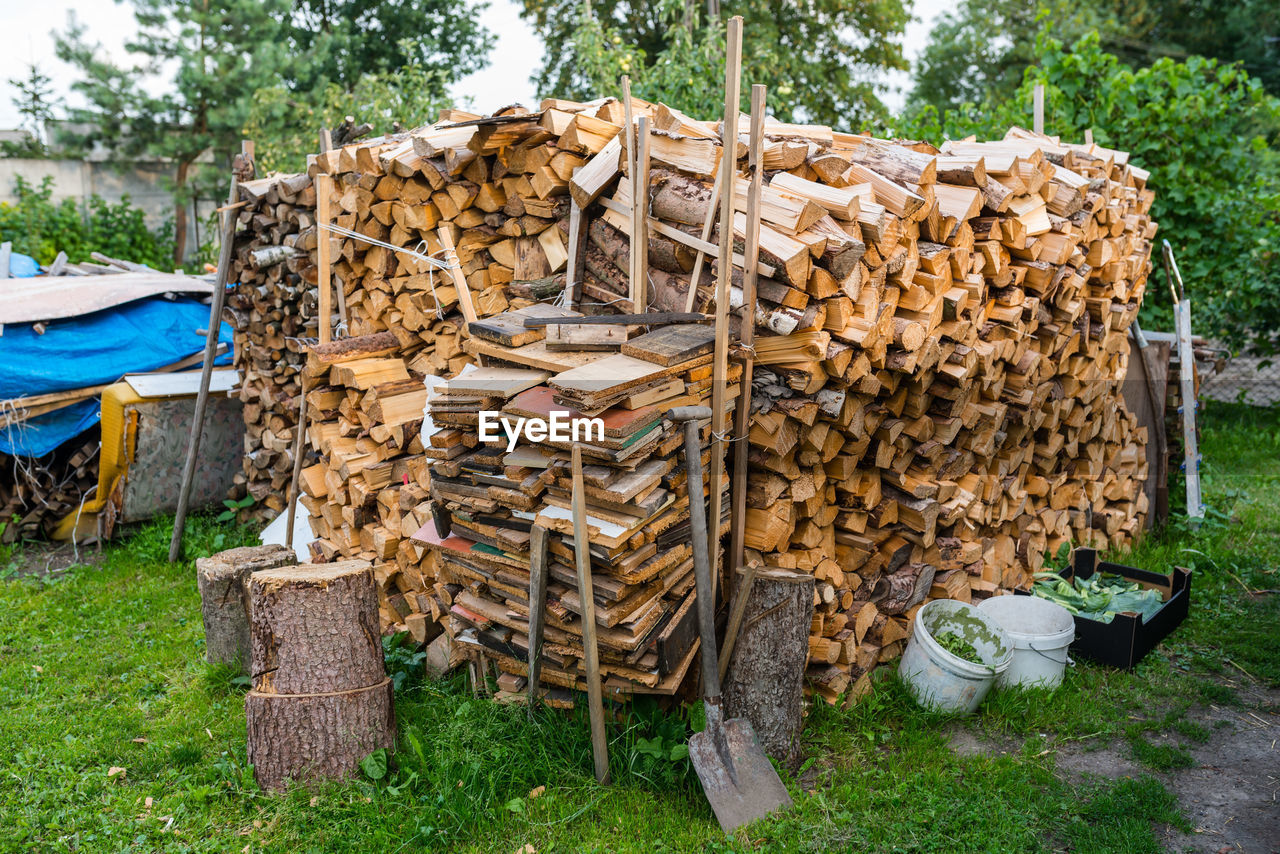 Stack of logs in forest