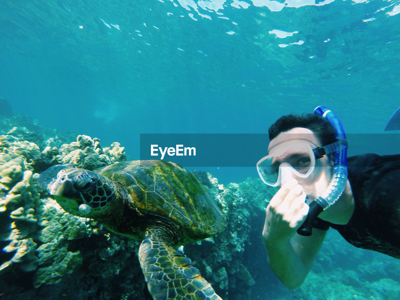 Portrait of man with turtle underwater