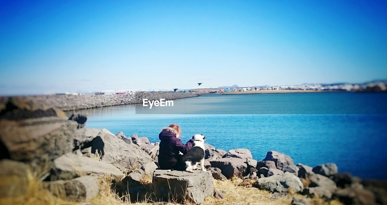 Rear view of girl with dog sitting on rock at shore against clear blue sky