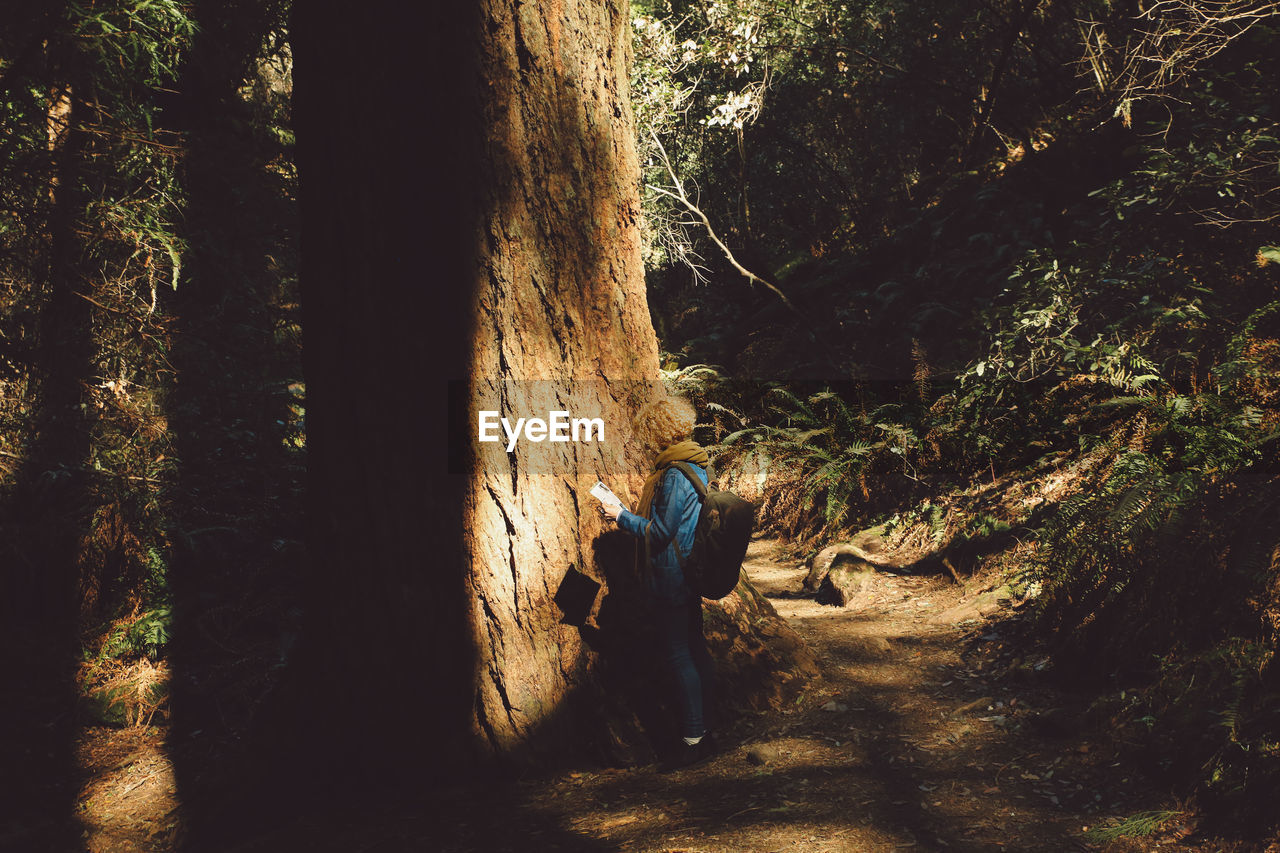 Side view of mid adult woman standing by tree in forest