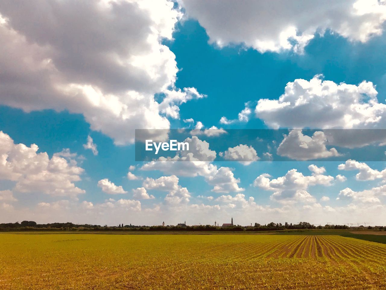 Scenic view of agricultural field against sky