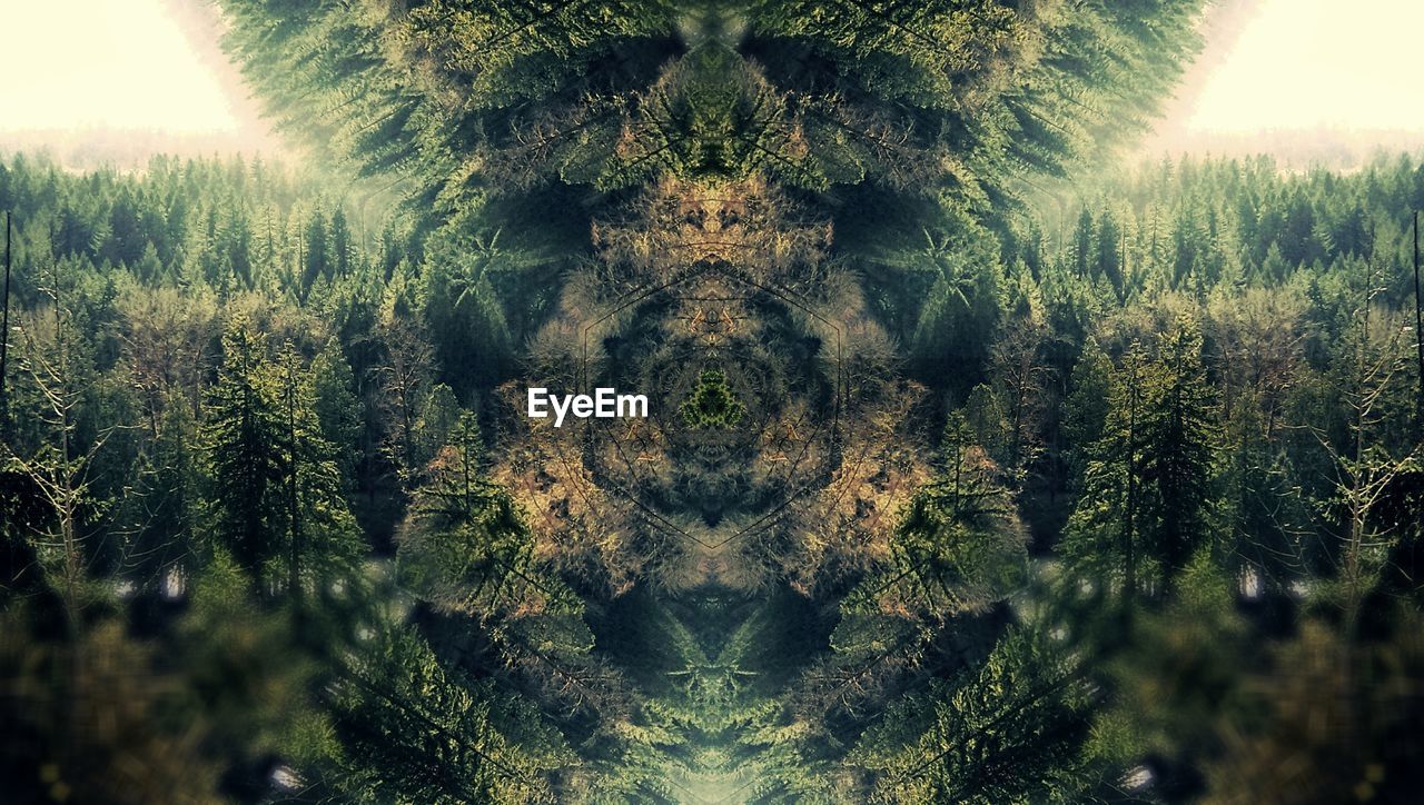 Digital composite image of tree against sky