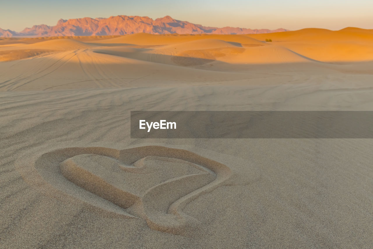 SAND DUNE IN DESERT