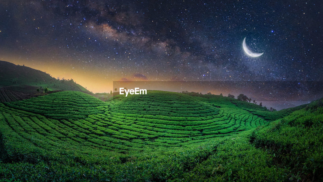 SCENIC VIEW OF AGRICULTURAL FIELD AGAINST STAR TRAILS