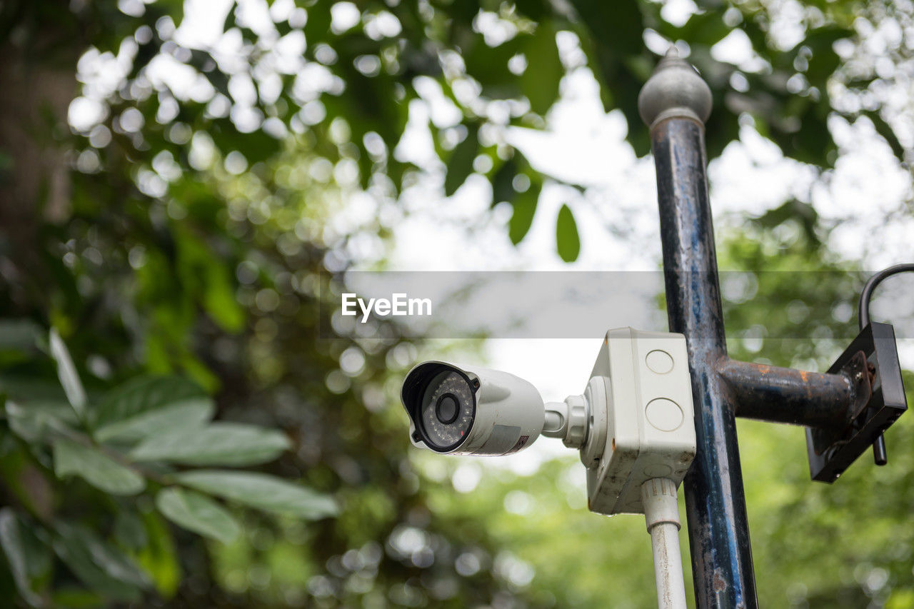 Outdoor cctv video monitor in park. security camera with blur foliage tree and sunlight bokeh.
