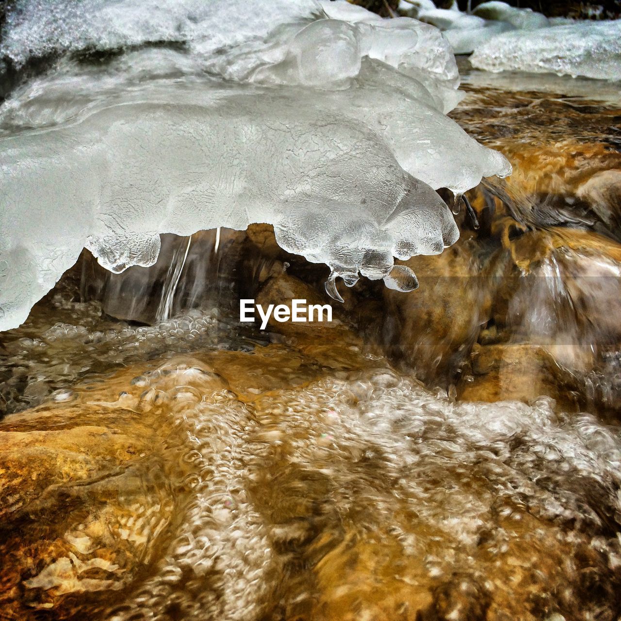 Close-up of ice over flowing stream