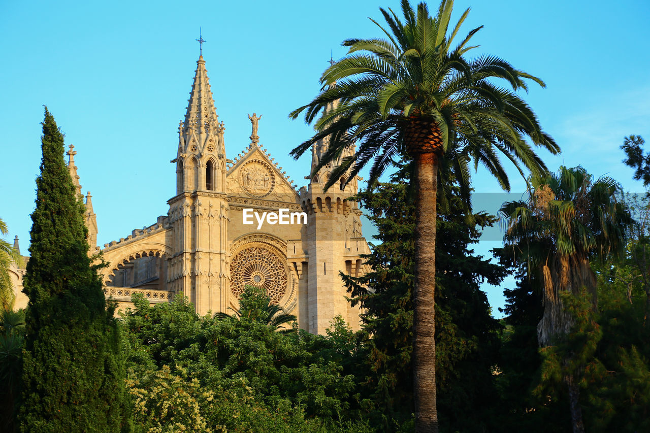 Palm trees by church against sky