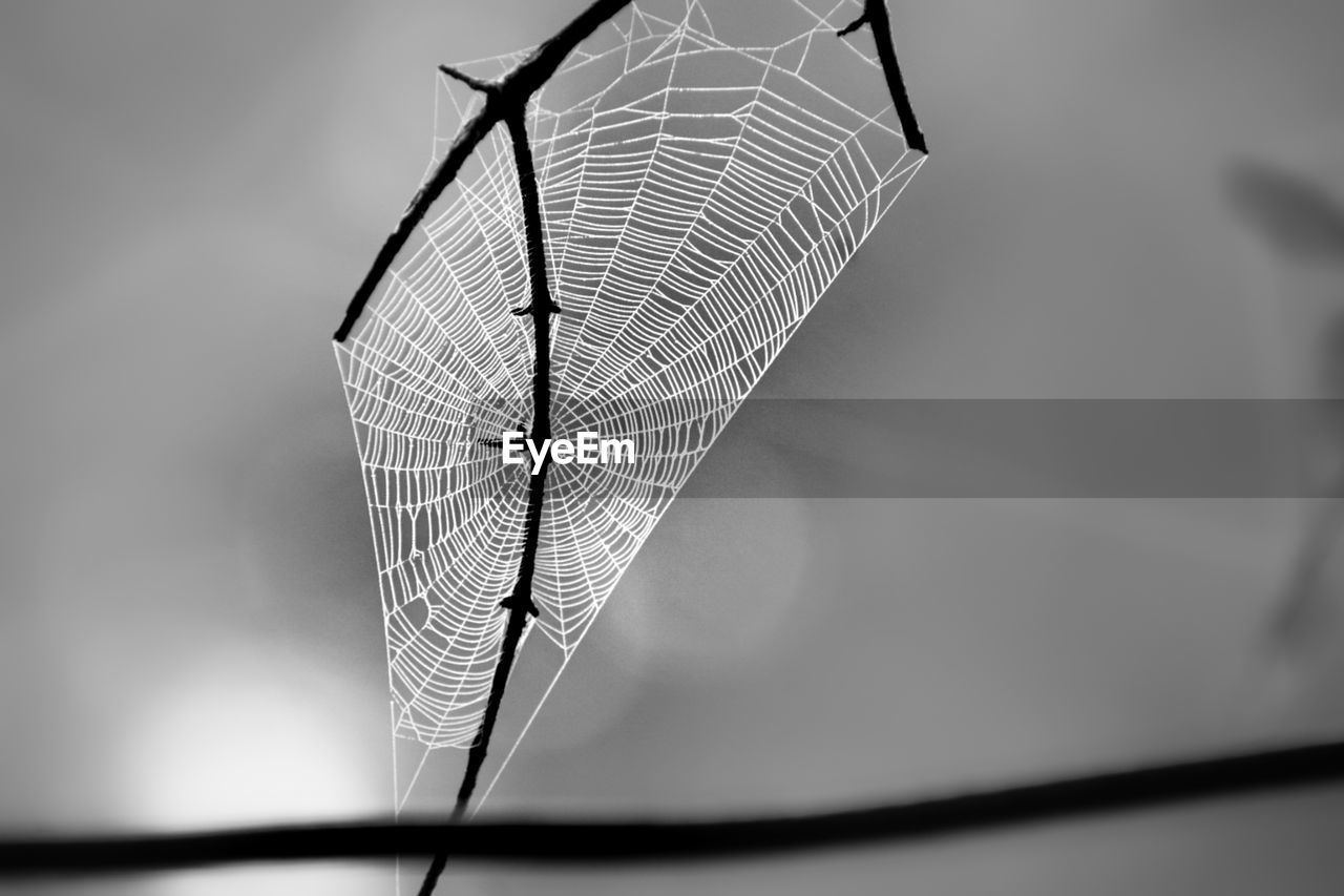 CLOSE-UP OF SPIDER WEB AGAINST METAL