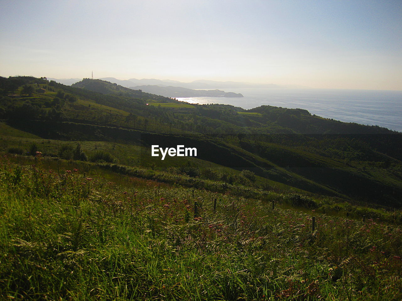 SCENIC VIEW OF LANDSCAPE AND MOUNTAINS AGAINST SKY