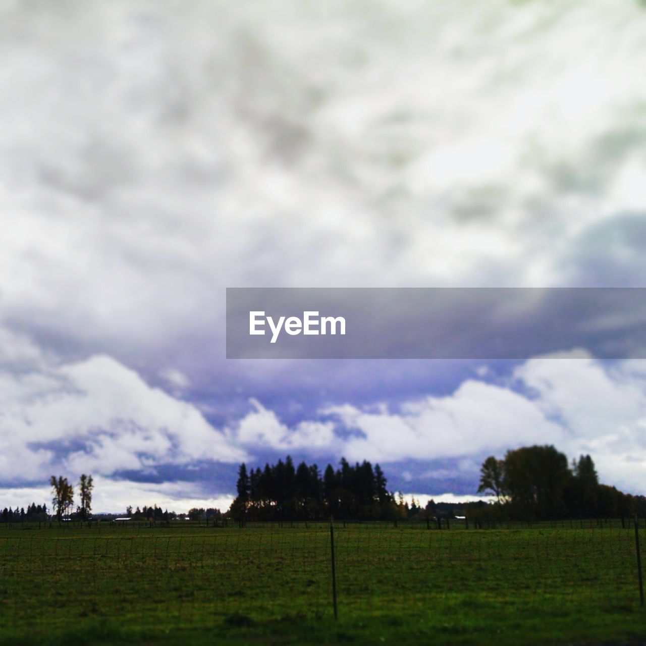 SCENIC VIEW OF GRASSY LANDSCAPE AGAINST CLOUDY SKY