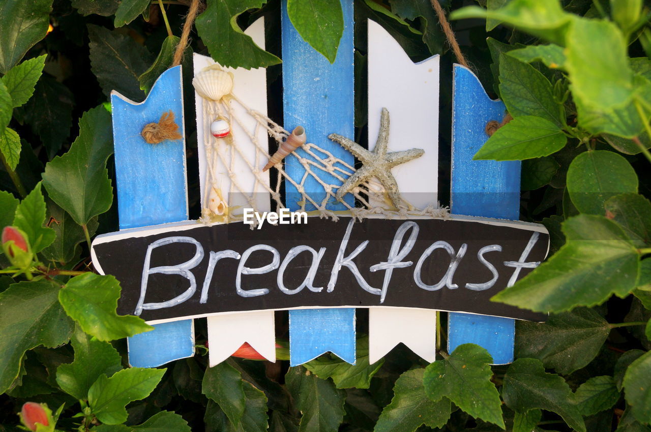 Close-up of breakfast sign hanging on fence amidst plants